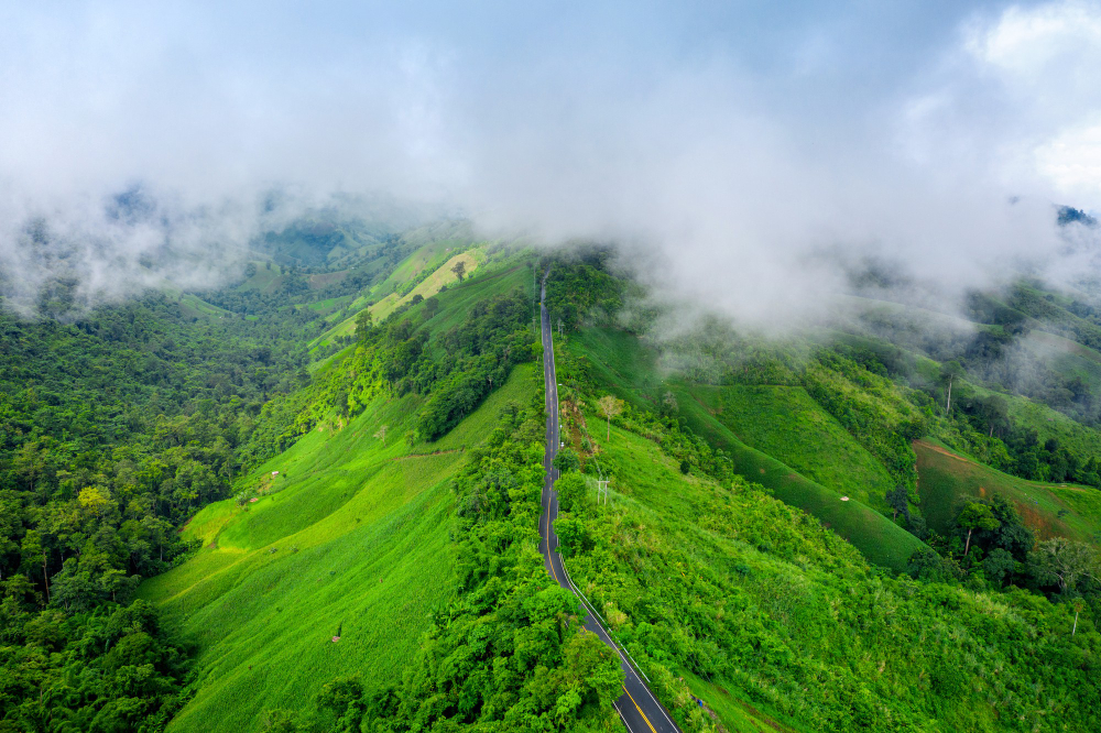 Kerala wildlife and nature travel