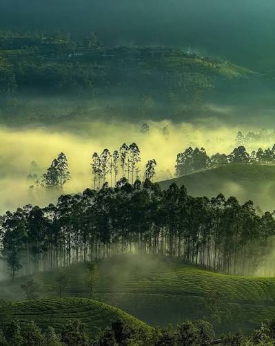 destination-tour
