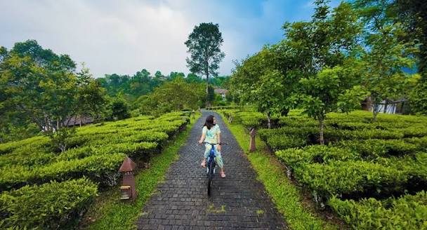 Kerala Nature Wellness